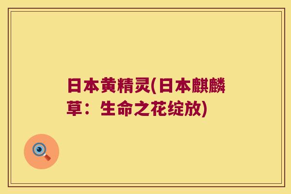 日本黄精灵(日本麒麟草:生命之花绽放) 日本黄精灵(日本麒麟草:生命之花绽放)