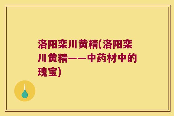 洛阳栾川黄精(洛阳栾川黄精——材中的瑰宝) 洛阳栾川黄精(洛阳栾川黄精——材中的瑰宝)