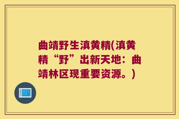 曲靖野生滇黄精(滇黄精“野”出新天地：曲靖林区现重要资源。)
