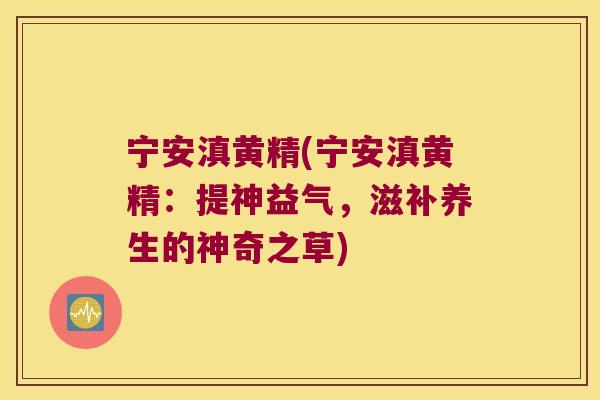 宁安滇黄精(宁安滇黄精：提神益气，滋补养生的神奇之草)