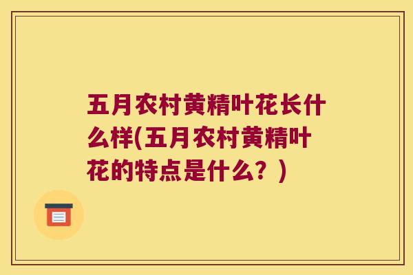 五月农村黄精叶花长什么样(五月农村黄精叶花的特点是什么?) 五月农村黄精叶花长什么样(五月农村黄精叶花的特点是什么?)
