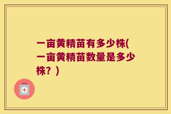一亩黄精苗有多少株(一亩黄精苗数量是多少株？)