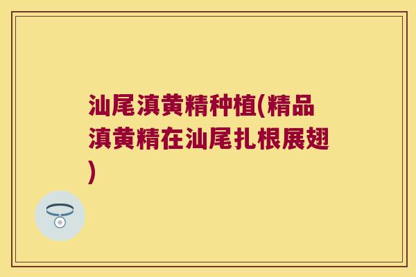 汕尾滇黄精种植(精品滇黄精在汕尾扎根展翅)