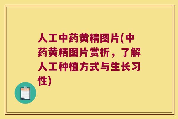 人工黄精图片(黄精图片赏析，了解人工种植方式与生长习性)