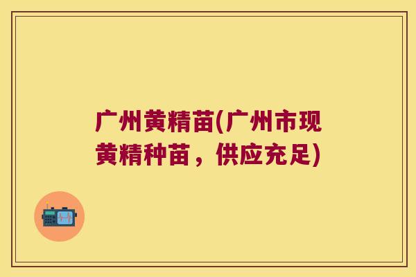 广州黄精苗(广州市现黄精种苗，供应充足)