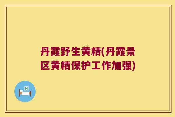 丹霞野生黄精(丹霞景区黄精保护工作加强) 丹霞野生黄精(丹霞景区黄精保护工作加强)