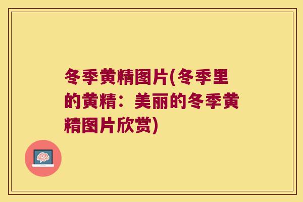 冬季黄精图片(冬季里的黄精:美丽的冬季黄精图片欣赏) 冬季黄精图片(冬季里的黄精:美丽的冬季黄精图片欣赏)