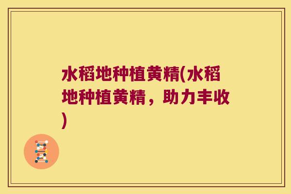 水稻地种植黄精(水稻地种植黄精，助力丰收)