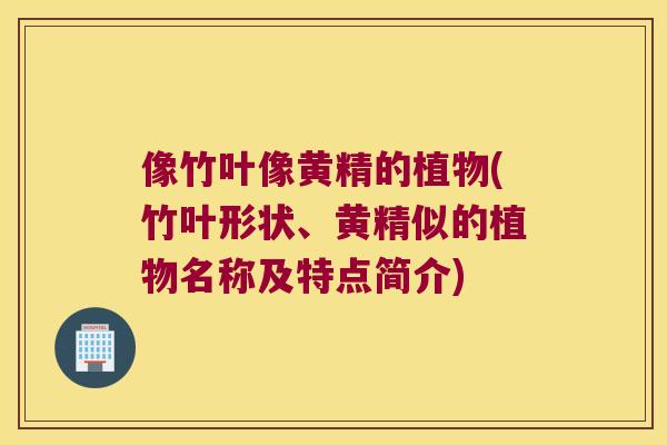 像竹叶像黄精的植物(竹叶形状、黄精似的植物名称及特点简介)