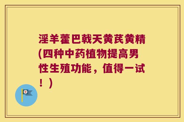 淫羊藿巴戟天黄芪黄精(四种植物提高男性生殖功能,值得一试!) 淫羊藿巴戟天黄芪黄精(四种植物提高男性生殖功能,值得一试!)