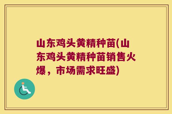 山东鸡头黄精种苗(山东鸡头黄精种苗销售火爆，市场需求旺盛)