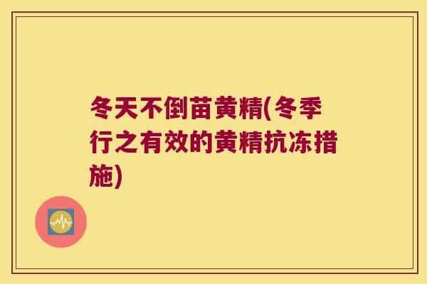冬天不倒苗黄精(冬季行之有效的黄精抗冻措施) 冬天不倒苗黄精(冬季行之有效的黄精抗冻措施)