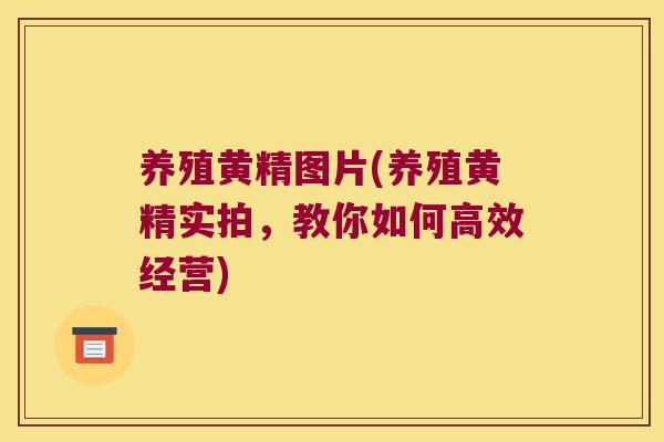 养殖黄精图片(养殖黄精实拍,教你如何高效经营) 养殖黄精图片(养殖黄精实拍,教你如何高效经营)