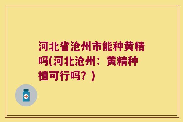 河北省沧州市能种黄精吗(河北沧州：黄精种植可行吗？)