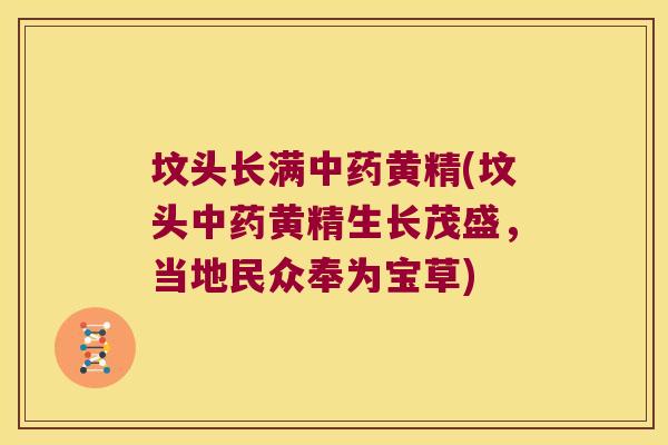 坟头长满黄精(坟头黄精生长茂盛,当地民众奉为宝草) 坟头长满黄精(坟头黄精生长茂盛,当地民众奉为宝草)