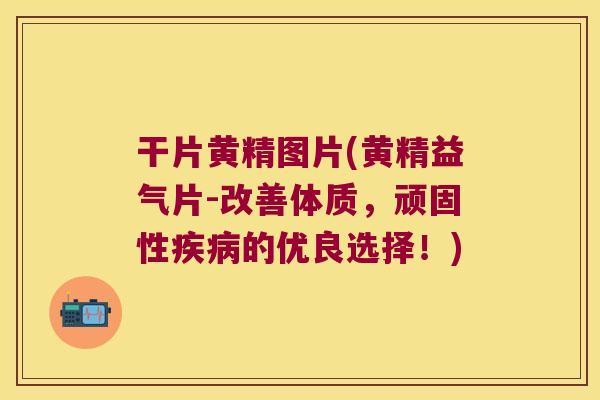 干片黄精图片(黄精益气片-改善体质，顽固性的优良选择！)
