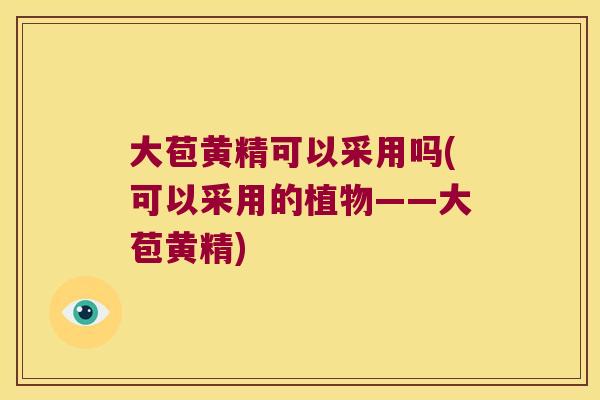大苞黄精可以采用吗(可以采用的植物——大苞黄精)