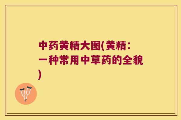 黄精大图(黄精:一种常用中草药的全貌) 黄精大图(黄精:一种常用中草药的全貌)