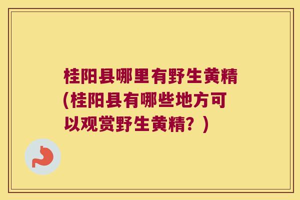 桂阳县哪里有野生黄精(桂阳县有哪些地方可以观赏野生黄精?) 桂阳县哪里有野生黄精(桂阳县有哪些地方可以观赏野生黄精?)