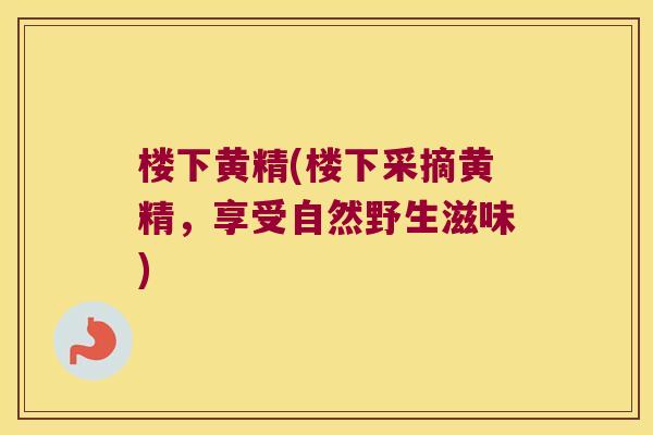 楼下黄精(楼下采摘黄精，享受自然野生滋味)