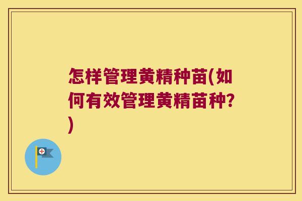 怎样管理黄精种苗(如何有效管理黄精苗种?) 怎样管理黄精种苗(如何有效管理黄精苗种?)