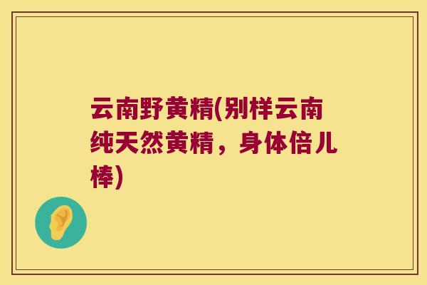 云南野黄精(别样云南纯天然黄精，身体倍儿棒)