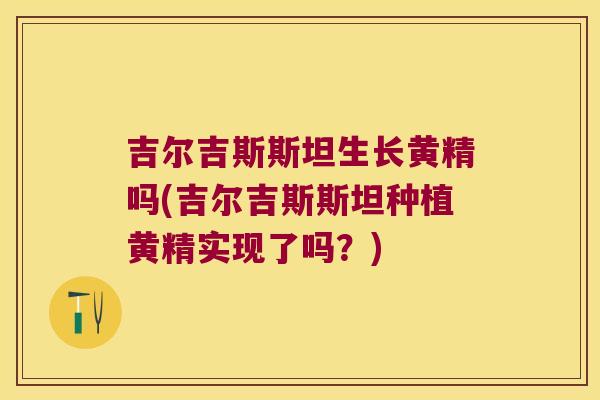 吉尔吉斯斯坦生长黄精吗(吉尔吉斯斯坦种植黄精实现了吗?) 吉尔吉斯斯坦生长黄精吗(吉尔吉斯斯坦种植黄精实现了吗?)