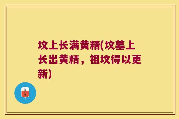 坟上长满黄精(坟墓上长出黄精,祖坟得以更新) 坟上长满黄精(坟墓上长出黄精,祖坟得以更新)