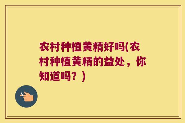 农村种植黄精好吗(农村种植黄精的益处，你知道吗？)