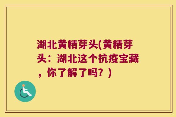 湖北黄精芽头(黄精芽头：湖北这个抗疫宝藏，你了解了吗？)