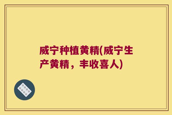 威宁种植黄精(威宁生产黄精,丰收喜人) 威宁种植黄精(威宁生产黄精,丰收喜人)