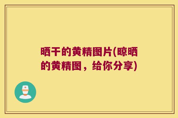 晒干的黄精图片(晾晒的黄精图,给你分享) 晒干的黄精图片(晾晒的黄精图,给你分享)