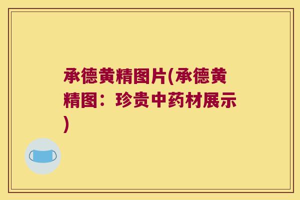 承德黄精图片(承德黄精图：珍贵材展示)