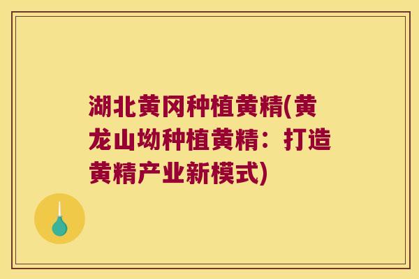湖北黄冈种植黄精(黄龙山坳种植黄精:打造黄精产业新模式) 湖北黄冈种植黄精(黄龙山坳种植黄精:打造黄精产业新模式)