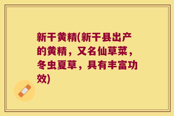 新干黄精(新干县出产的黄精,又名仙草菜,冬虫夏草,具有丰富功效) 新干黄精(新干县出产的黄精,又名仙草菜,冬虫夏草,具有丰富功效)