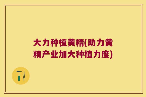 大力种植黄精(助力黄精产业加大种植力度)