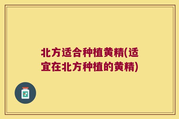 北方适合种植黄精(适宜在北方种植的黄精)