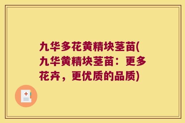 九华多花黄精块茎苗(九华黄精块茎苗：更多花卉，更优质的品质)