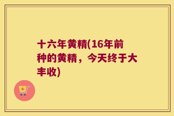 十六年黄精(16年前种的黄精，今天终于大丰收)