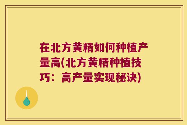在北方黄精如何种植产量高(北方黄精种植技巧:高产量实现秘诀) 在北方黄精如何种植产量高(北方黄精种植技巧:高产量实现秘诀)