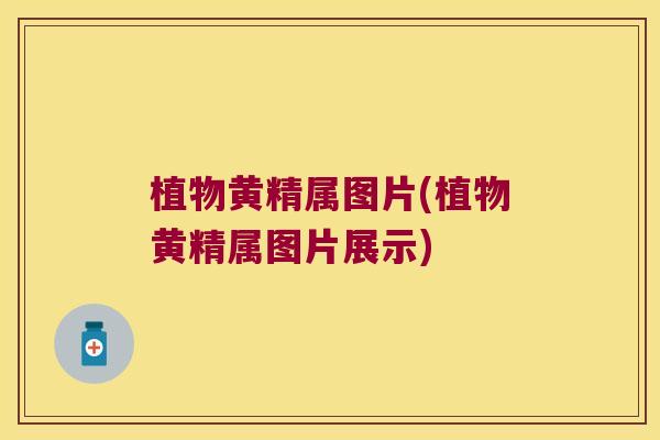 植物黄精属图片(植物黄精属图片展示) 植物黄精属图片(植物黄精属图片展示)
