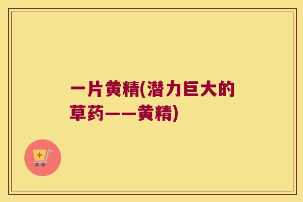 一片黄精(潜力巨大的草药——黄精)