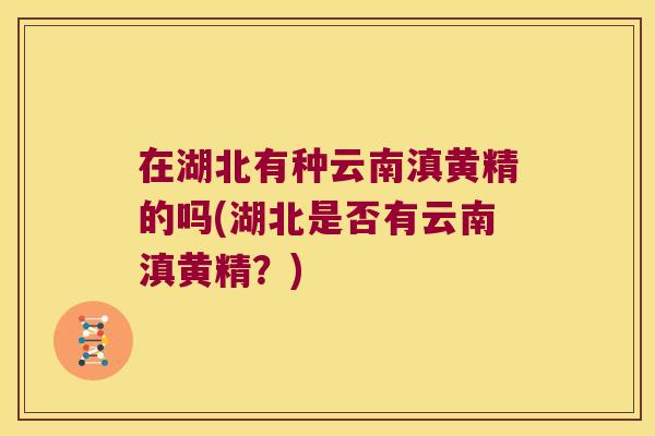 在湖北有种云南滇黄精的吗(湖北是否有云南滇黄精?) 在湖北有种云南滇黄精的吗(湖北是否有云南滇黄精?)