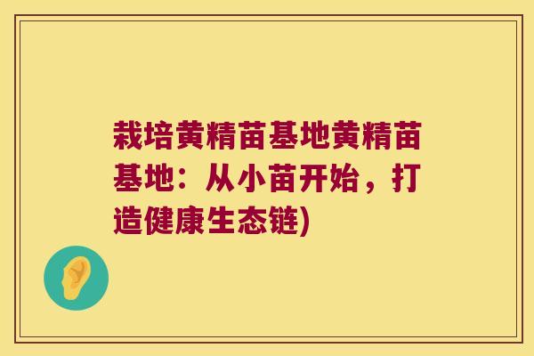 栽培黄精苗基地黄精苗基地:从小苗开始,打造健康生态链) 栽培黄精苗基地黄精苗基地:从小苗开始,打造健康生态链)