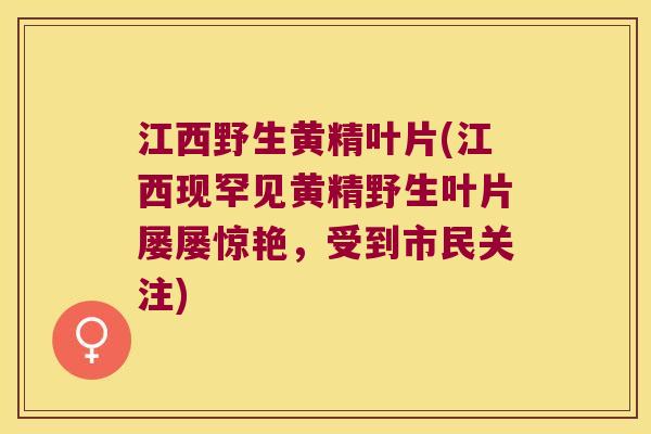 江西野生黄精叶片(江西现罕见黄精野生叶片屡屡惊艳,受到市民关注) 江西野生黄精叶片(江西现罕见黄精野生叶片屡屡惊艳,受到市民关注)