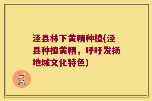 泾县林下黄精种植(泾县种植黄精,呼吁发扬地域文化特色) 泾县林下黄精种植(泾县种植黄精,呼吁发扬地域文化特色)