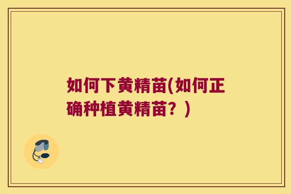 如何下黄精苗(如何正确种植黄精苗？)