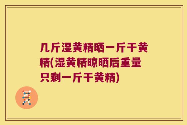 几斤湿黄精晒一斤干黄精(湿黄精晾晒后重量只剩一斤干黄精)