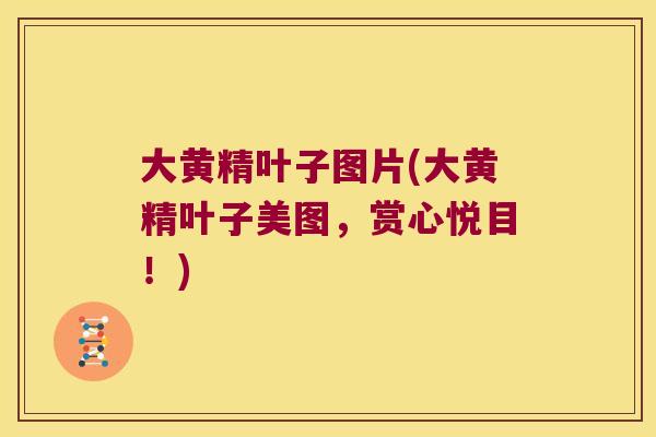大黄精叶子图片(大黄精叶子美图，赏心悦目！)