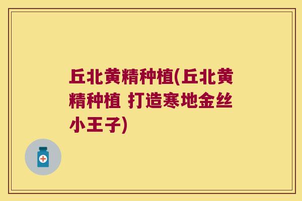 丘北黄精种植(丘北黄精种植 打造寒地金丝小王子)